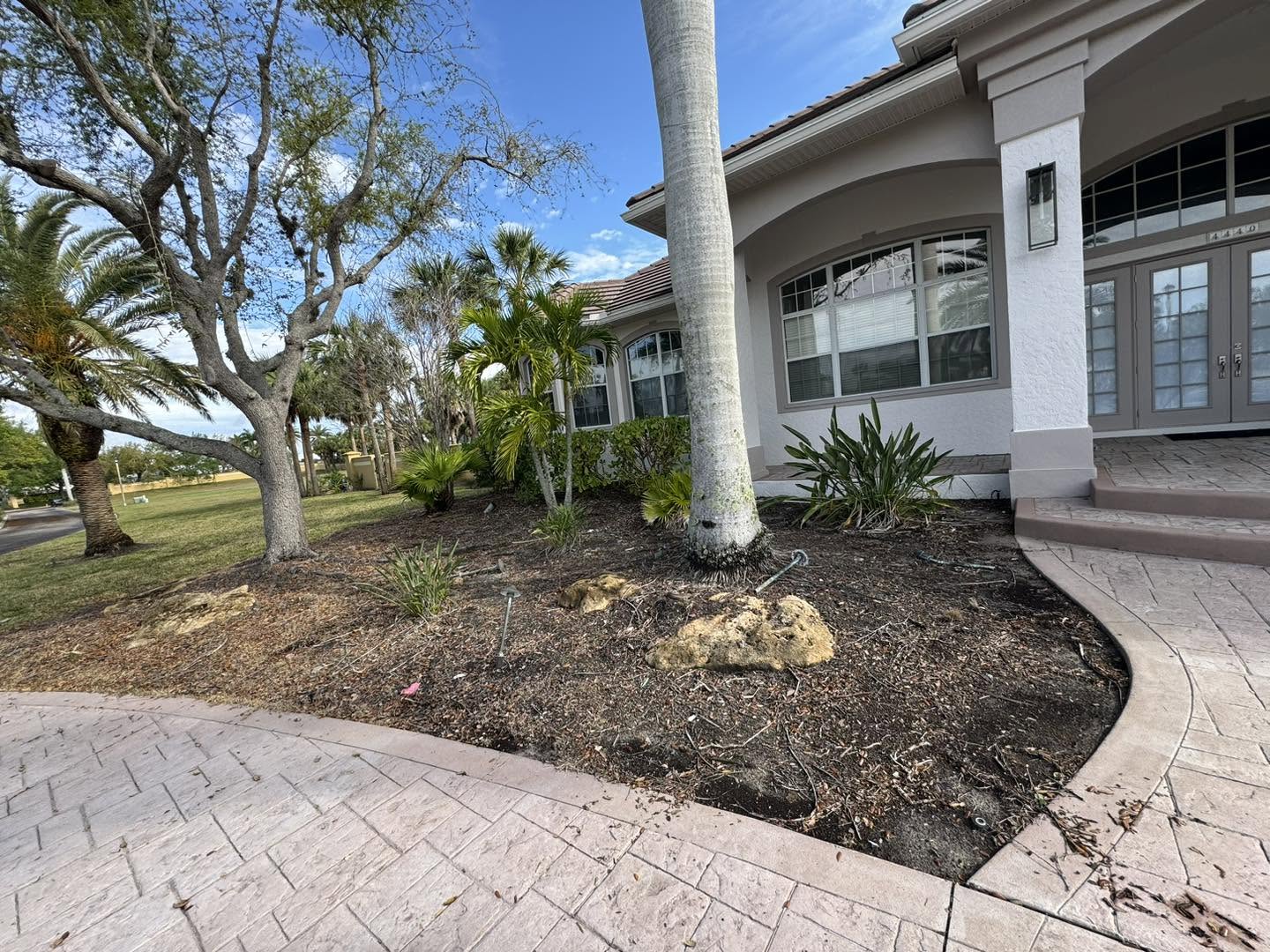 Front garden bed before landscaping