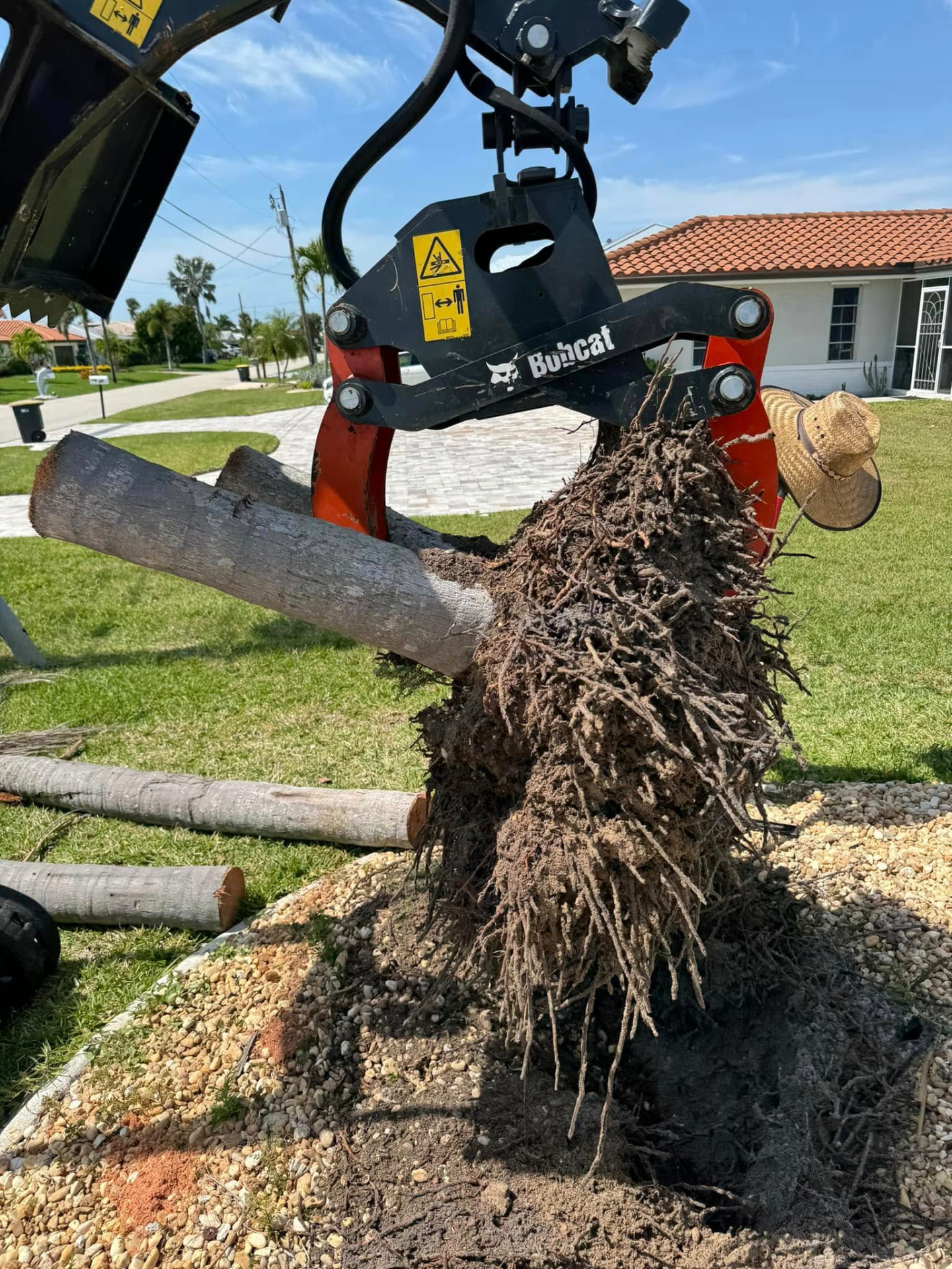 Tree Services