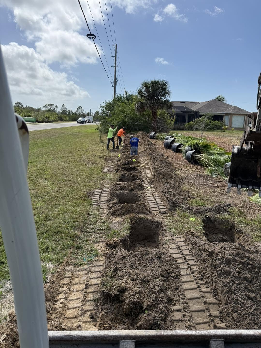 Tree Work project